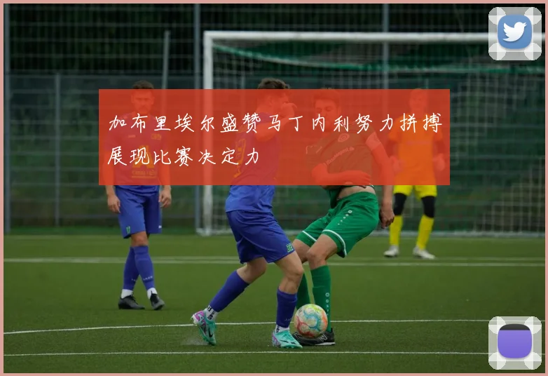 加布里埃尔盛赞马丁内利努力拼搏展现比赛决定力