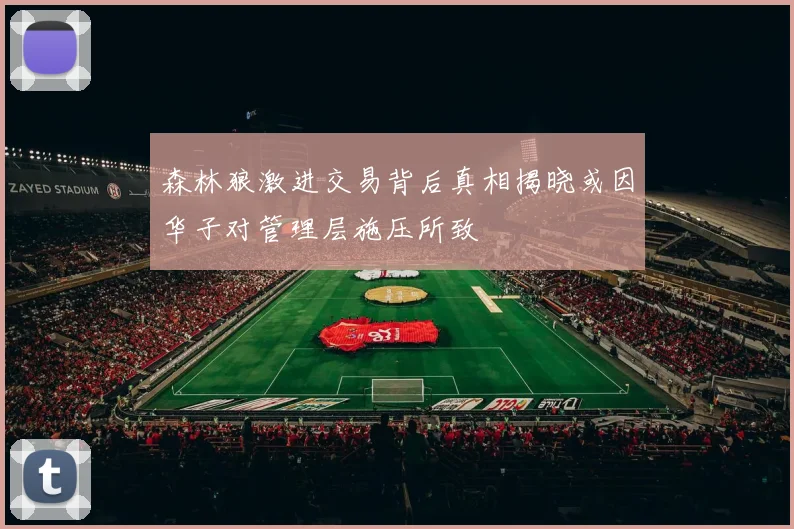 森林狼激进交易背后真相揭晓或因华子对管理层施压所致